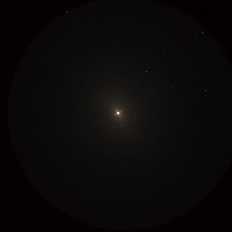 ハマル（Hamal） captured through a telescope eyepiece using a smartphone camera - Afocal Astrophotography