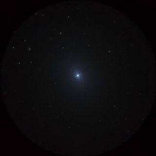 ミルザム（Mirzam）