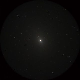 ウェズン（Wezen）