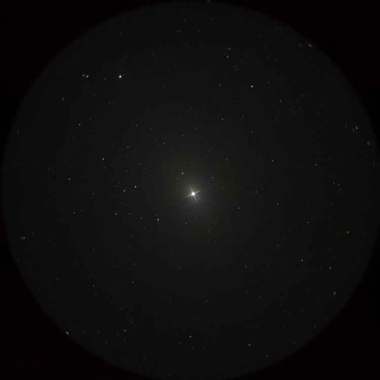 ウェズン（Wezen） captured through a telescope eyepiece using a smartphone camera - Afocal Astrophotography