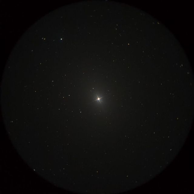 ウェズン（Wezen）