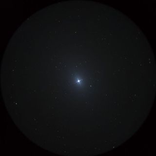 アダラ（Adhara）