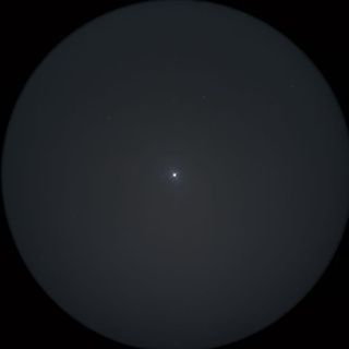 ファクト（Phact）