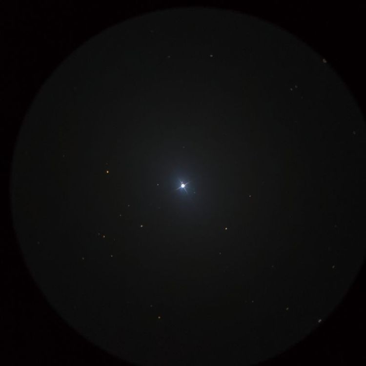 アルフェッカ（Alphecca） captured through a telescope eyepiece using a smartphone camera - Afocal Astrophotography