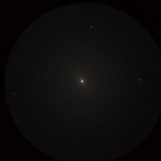 ラスタバン（Rastaban）