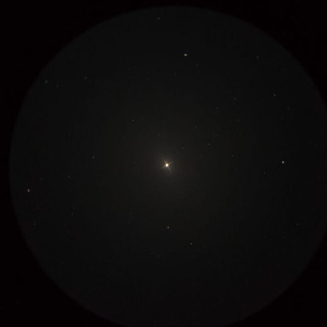 ラスタバン（Rastaban）