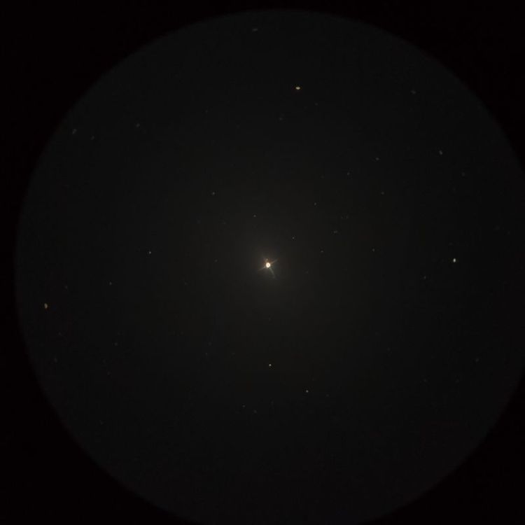 ラスタバン（Rastaban） captured through a telescope eyepiece using a smartphone camera - Afocal Astrophotography