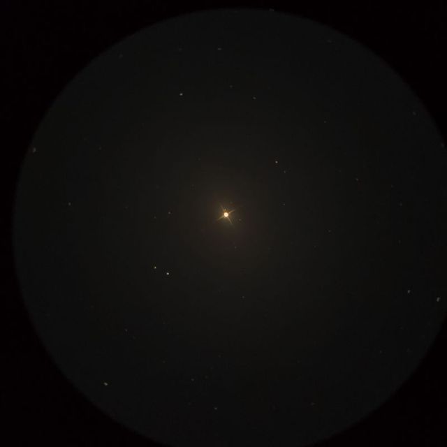 エルタニン（Eltanin）