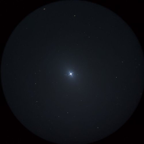 カストル(Castor)