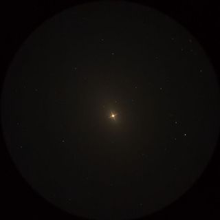 アルファルド（Alphard）