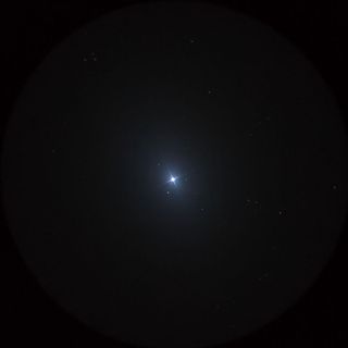 レグルス（Regulus）