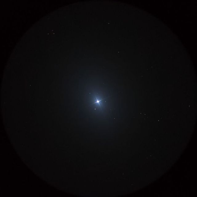 レグルス（Regulus）