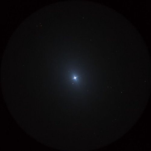 レグルス（Regulus）