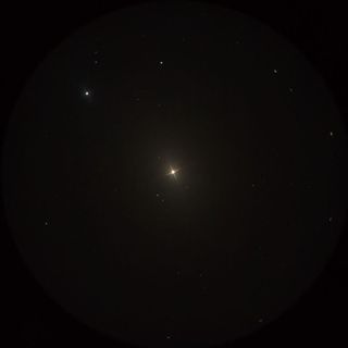 アルギエバ（Algieba）