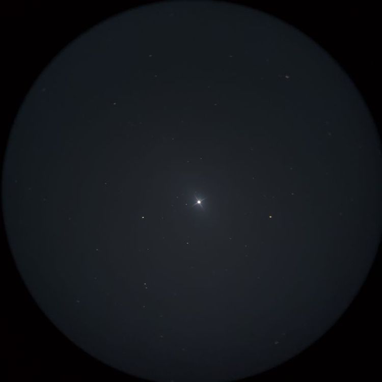 アルネブ（Arneb） captured through a telescope eyepiece using a smartphone camera - Afocal Astrophotography