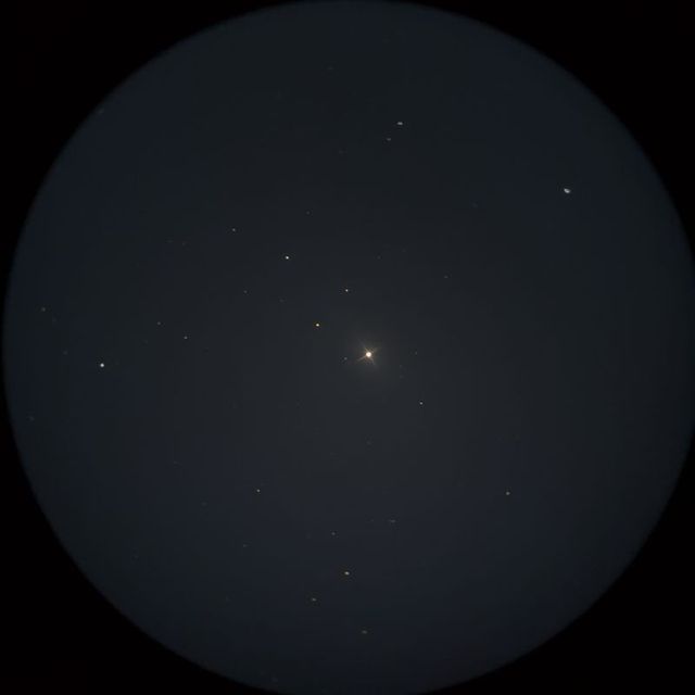 ニハル（Nihal）