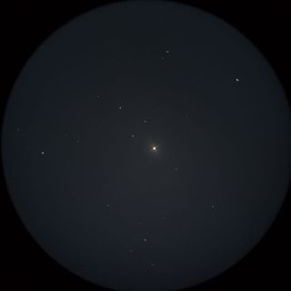 ニハル（Nihal）