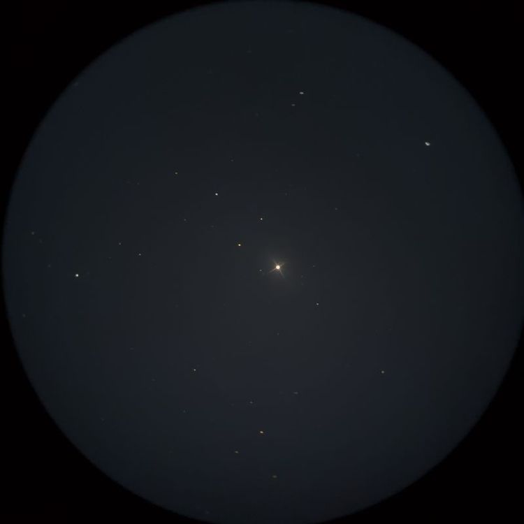 ニハル（Nihal）