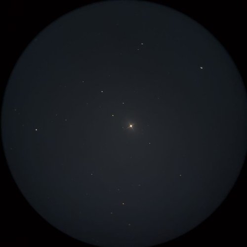 ニハル（Nihal）