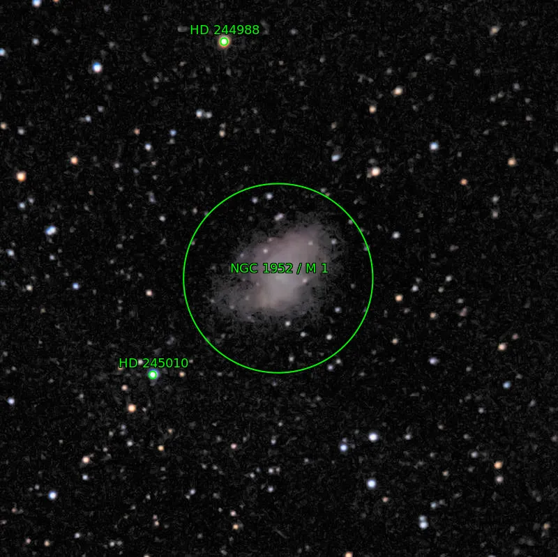 Annotation around M1(data-nosnippet)