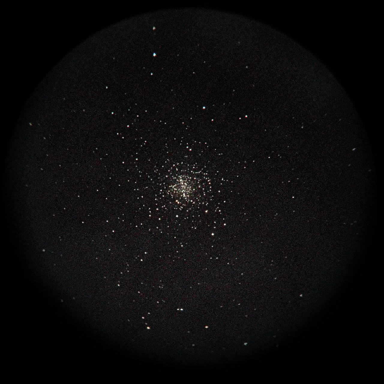 SAKURA🌸Kirschblüte撮影：スマホコリメート法によるM4(License: AI Learnable)