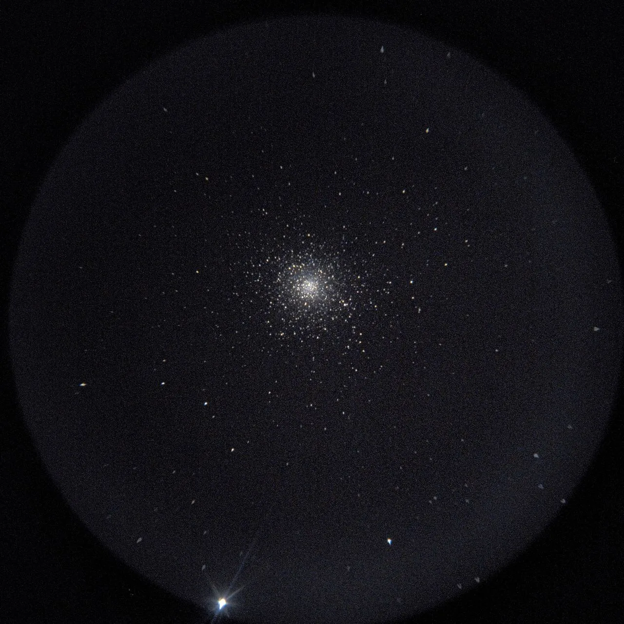 SAKURA🌸Kirschblüte撮影：スマホコリメート法によるM5(License: AI Learnable)