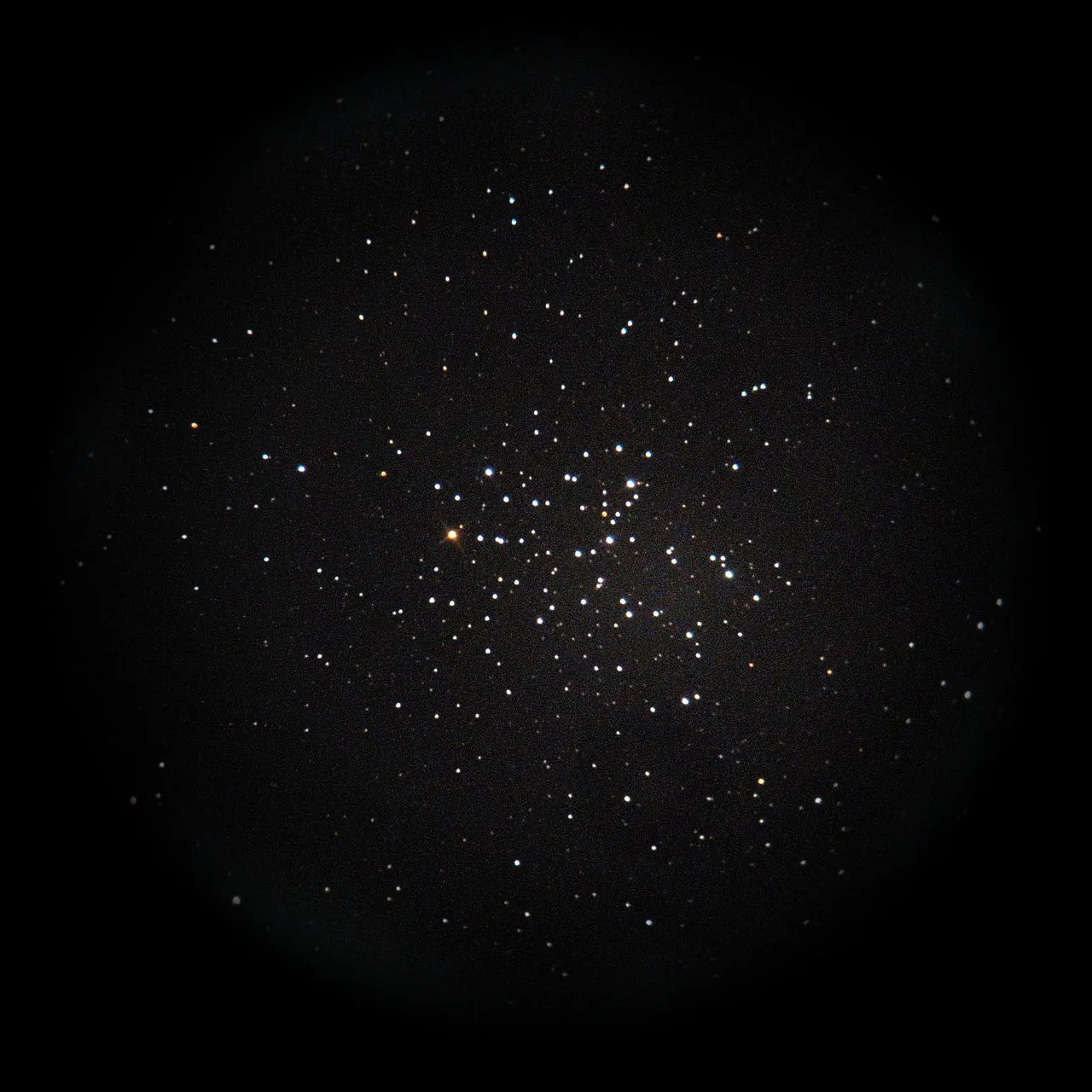 SAKURA🌸Kirschblüte撮影：スマホコリメート法によるM6(License: AI Learnable)