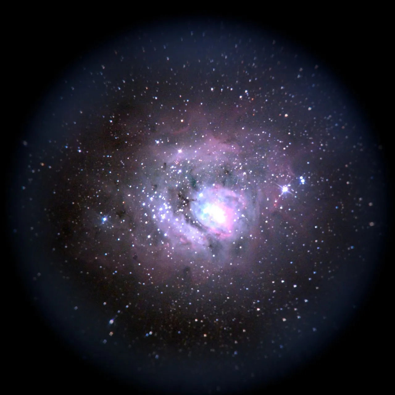 SAKURA🌸Kirschblüte撮影：スマホコリメート法によるM8(License: AI Learnable)