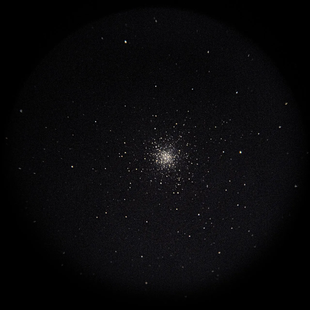 SAKURA🌸Kirschblüte撮影：スマホコリメート法によるM10(License: AI Learnable)