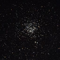 M11