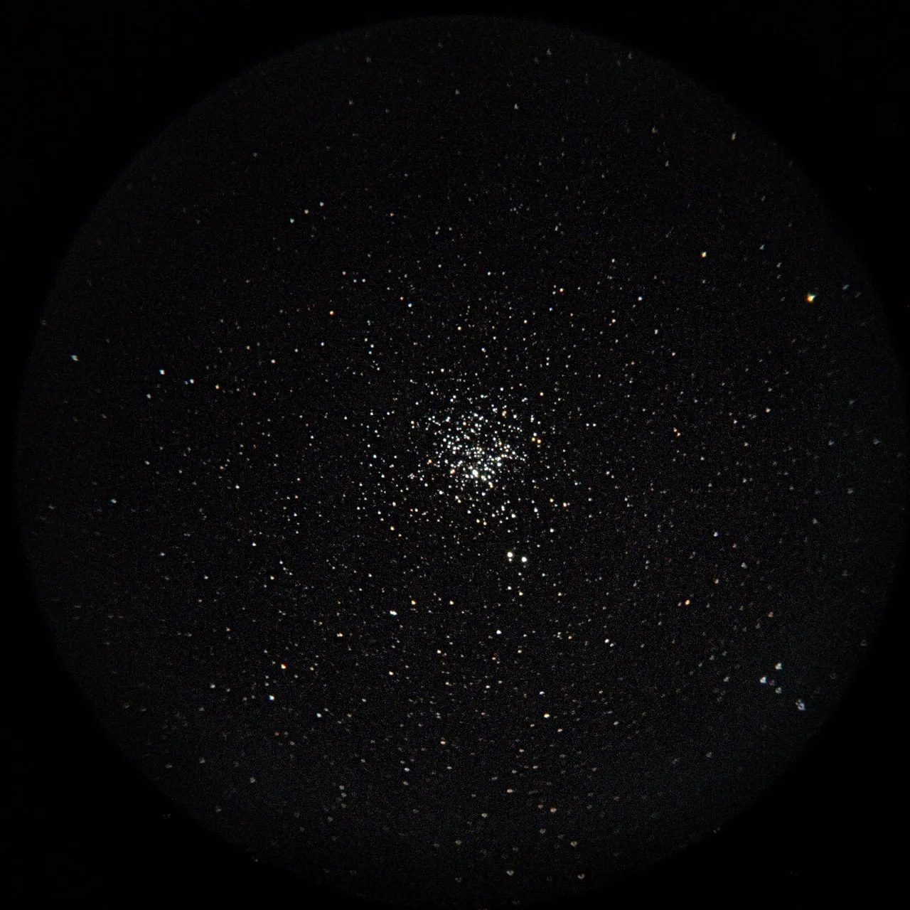 SAKURA🌸Kirschblüte撮影：スマホコリメート法によるM11(License: AI Learnable)