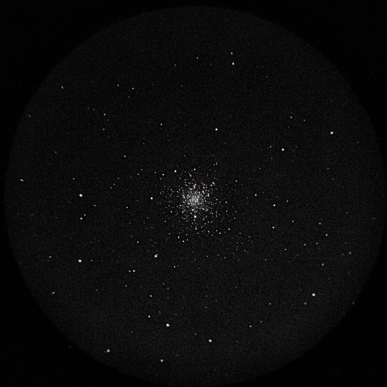 SAKURA🌸Kirschblüte撮影：スマホコリメート法によるM12(License: AI Learnable)