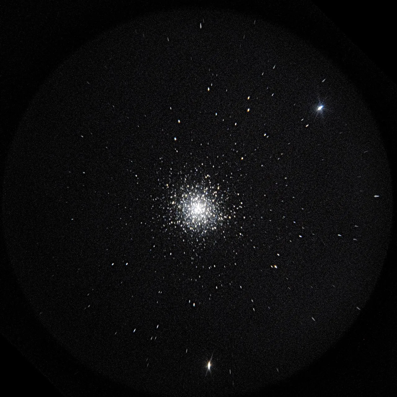M13