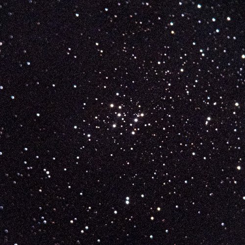 M29