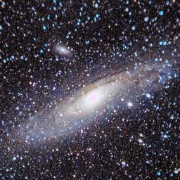 M31