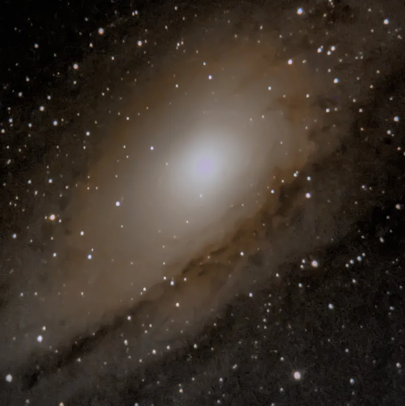 M31