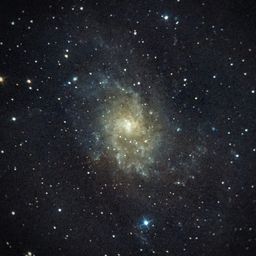 M33