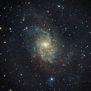 M33