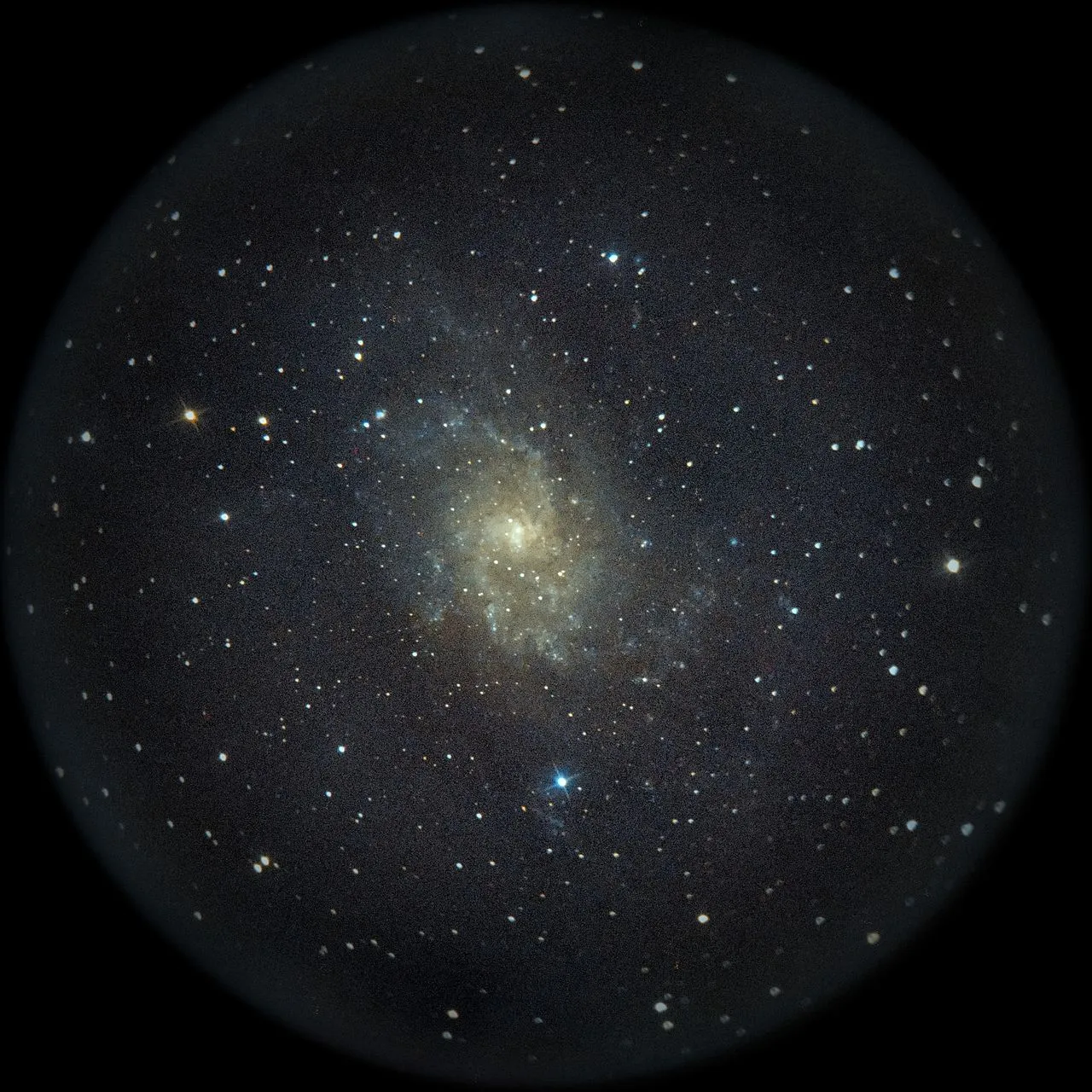 M33