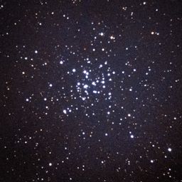 M36