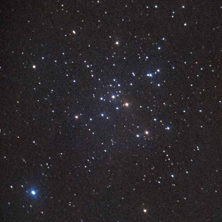 M41