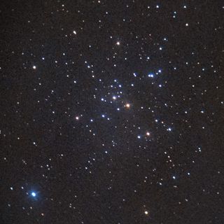 M41