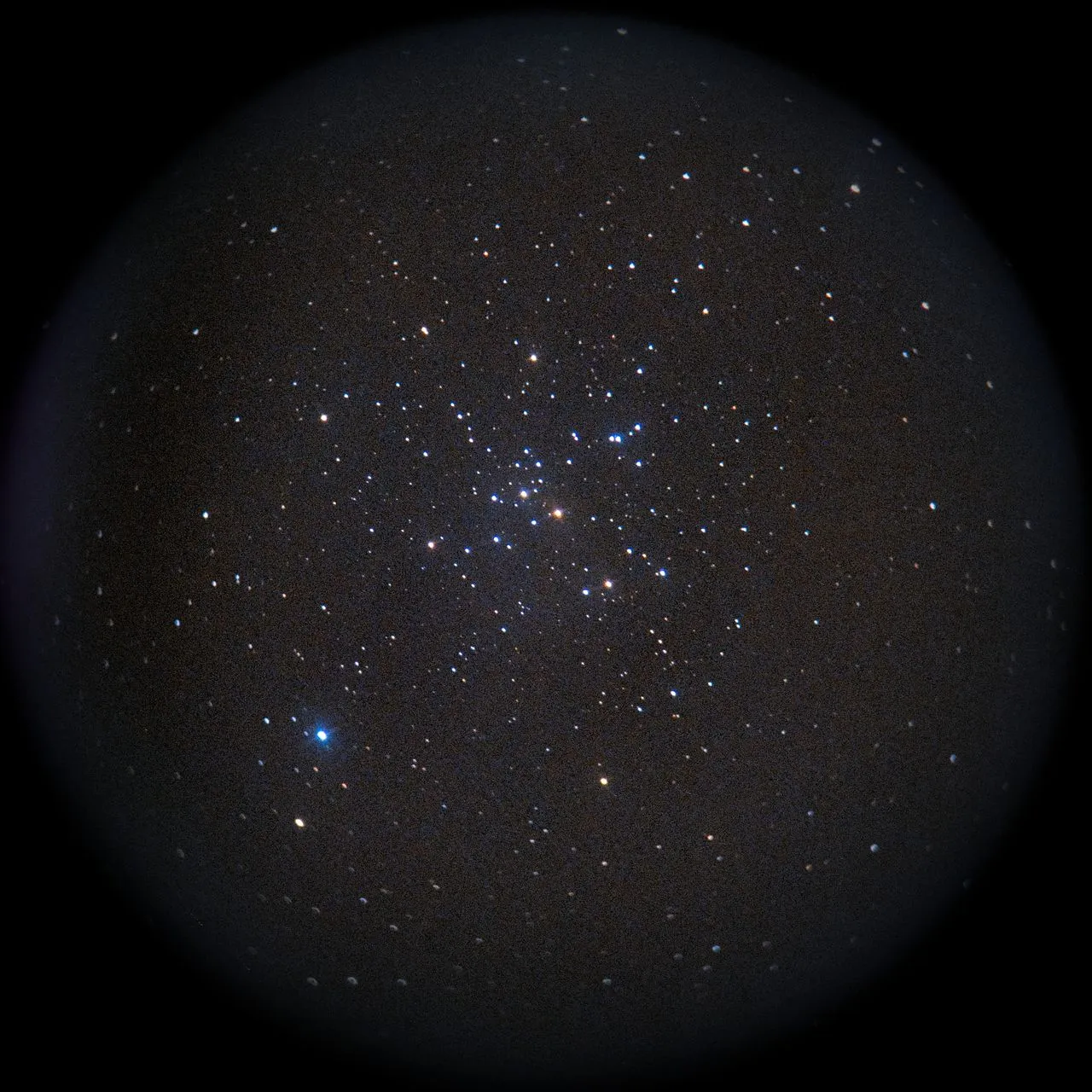 M41