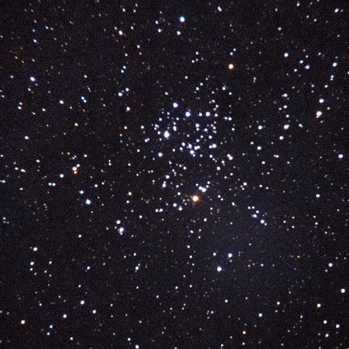 M50