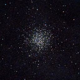 M55