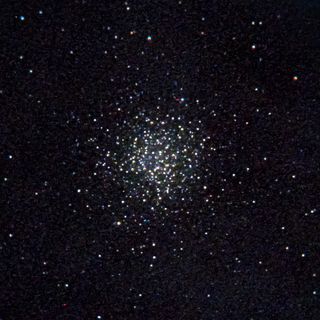 M55