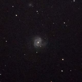 M61