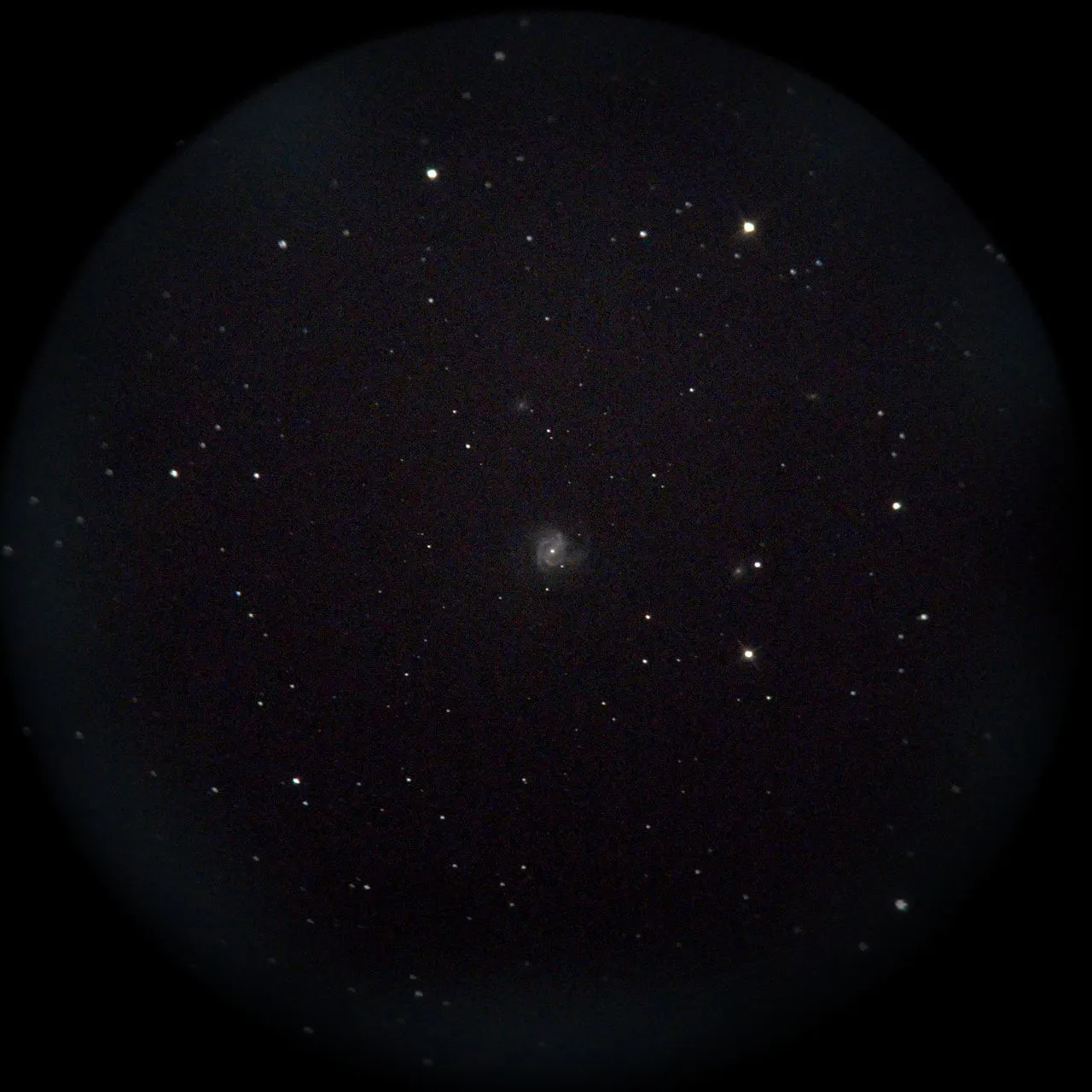 M61