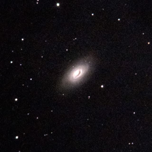 M64