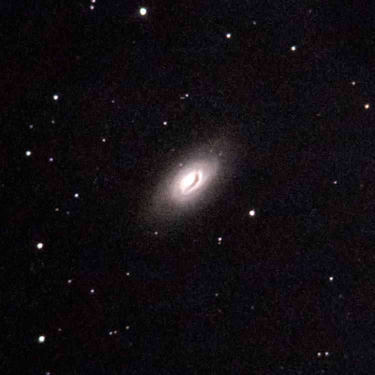 M64